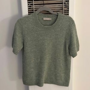 Everlane Alpaca Sweater Tee
